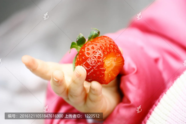 Strawberry在兒童手中