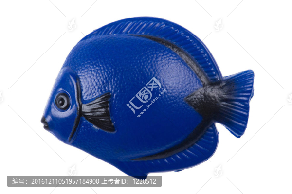 魚(yú)磁宏