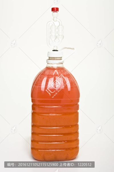 發(fā)酵酒