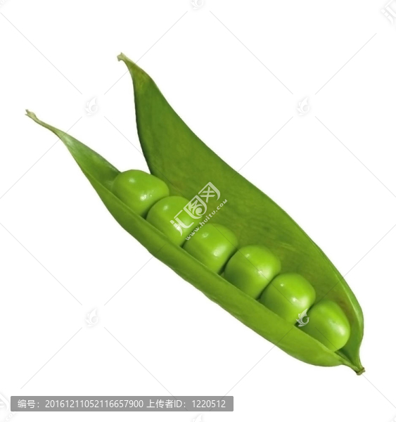 豌豆莢