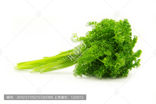 西芹
