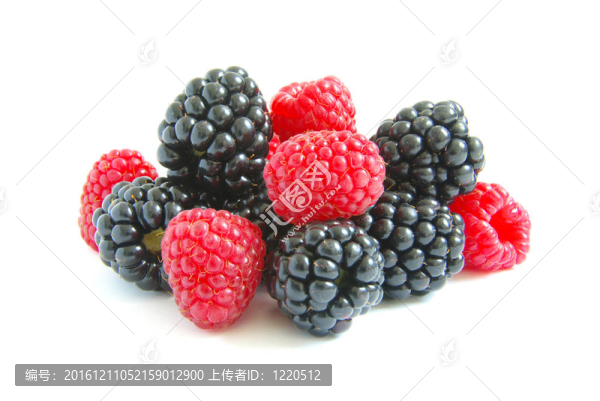 黑莓和樹莓