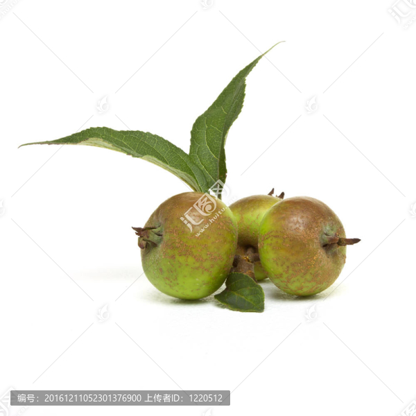 蘋果