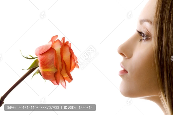 美麗的女人與玫瑰側(cè)視分離