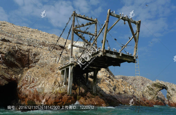 Ballestas群島；秘魯