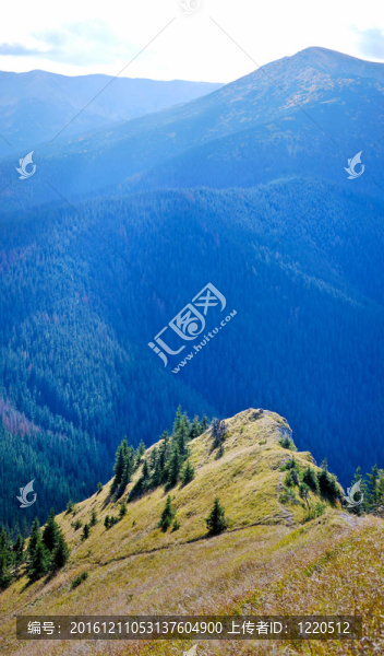 山坡