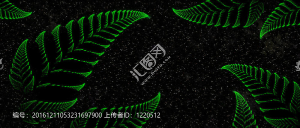 星光燦爛的夜晚