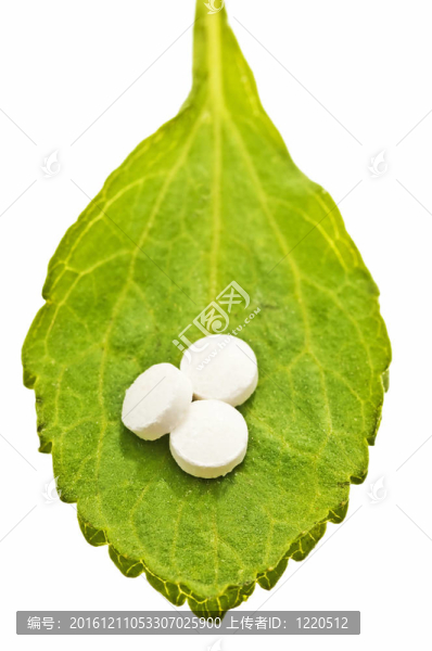 甜菊糖片；支持；