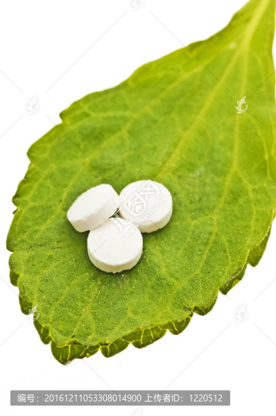 甜菊糖片；支持；