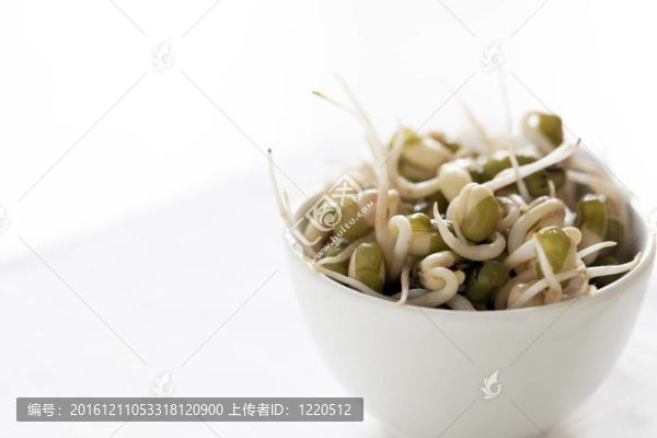 豆芽：綠豆