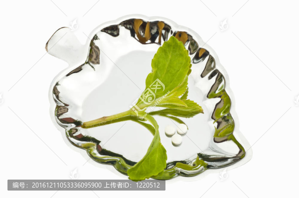甜菊糖片；支持；