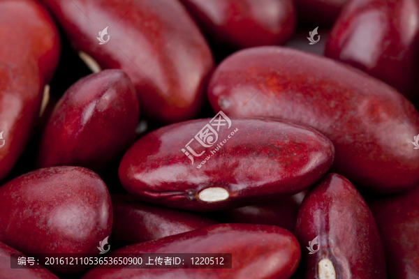 紅蕓豆特寫