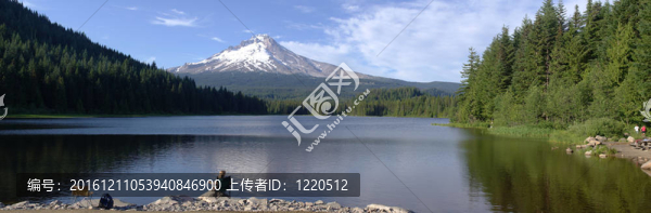 延齡草湖和胡德雪山全景；俄勒岡。