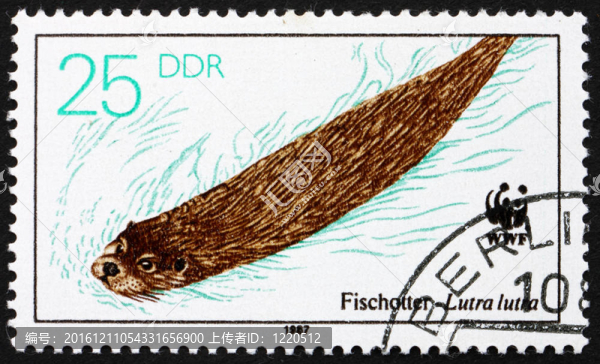 郵票GDR,1987水獺游泳