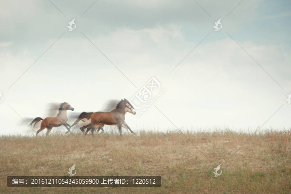 速度