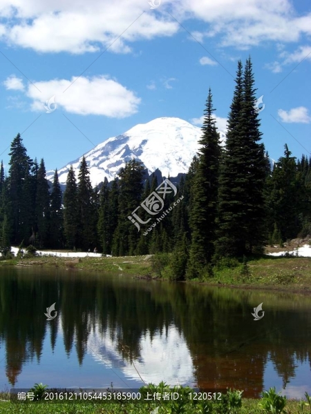 Mt,Rainier的肖像