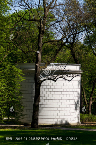 在瓦津基公園的Lazienki宮殿；華沙。krolewski,Lazienki