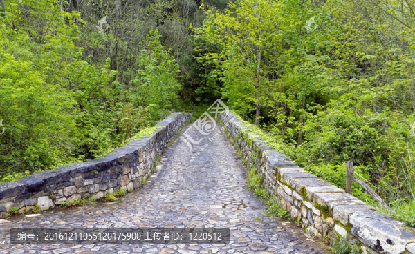 羅馬橋輸入；便便de,Cabrales。
