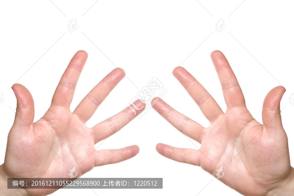 兩手掌