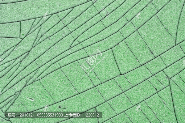 阿月渾子墻開裂