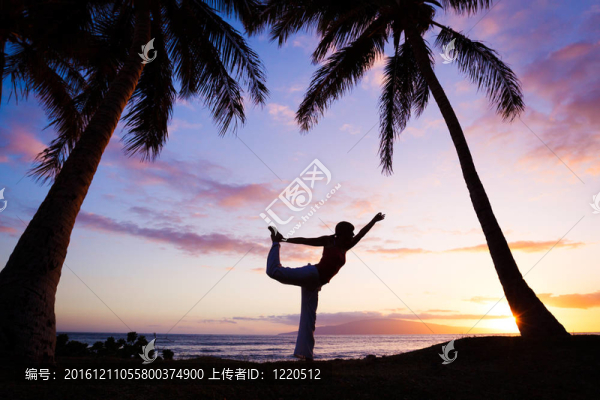 一個(gè)美麗的瑜伽女子剪影