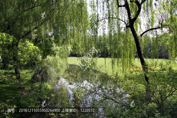 花園-匯圖網(wǎng) www.fosd68.com 花園