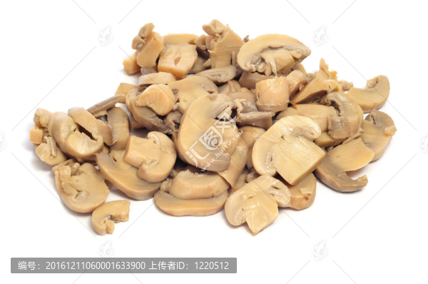蘑菇