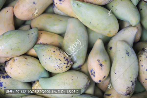 新鮮芒果