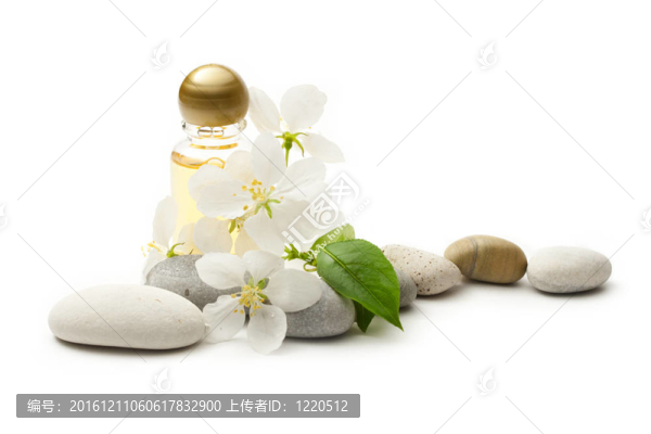 蘋果樹花；石頭和洗發(fā)水