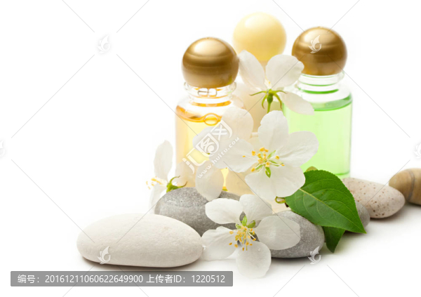 蘋果樹(shù)花；石頭和洗發(fā)水
