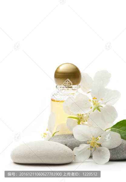 蘋果樹花；石頭和洗發(fā)水