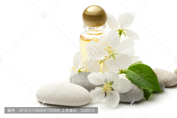 蘋果樹(shù)花；石頭和洗發(fā)水