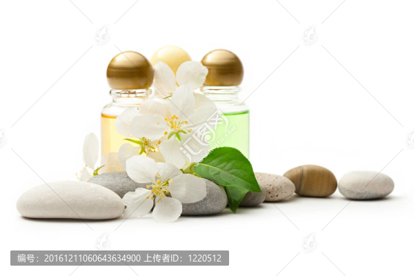 蘋果樹花；石頭和洗發(fā)水