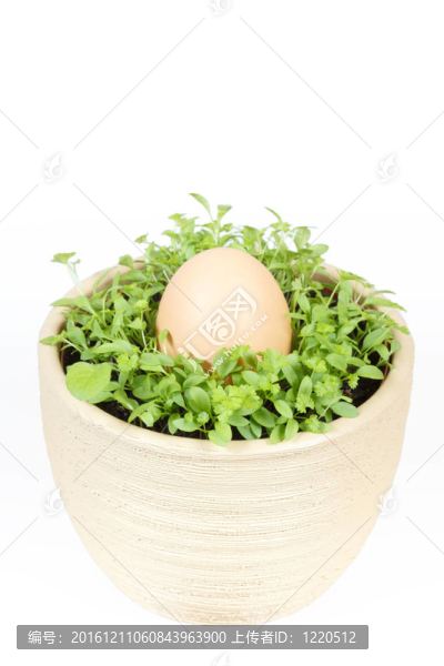 陶瓷鍋中帶復(fù)活節(jié)彩蛋的春菜