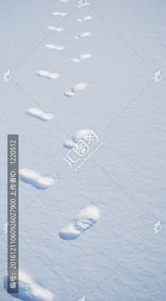 雪的腳步