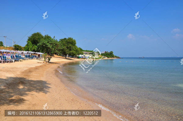 沙灘和大海