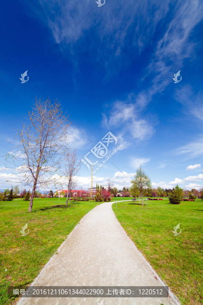 公園景觀