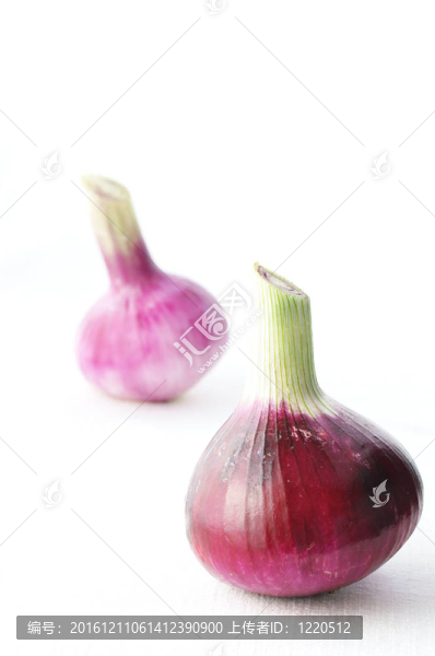 紫蔥