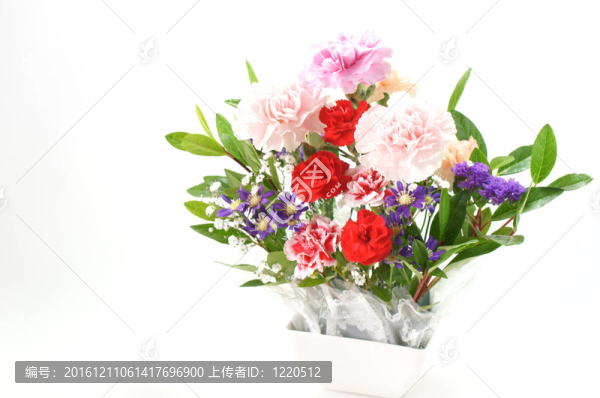 設(shè)置花
