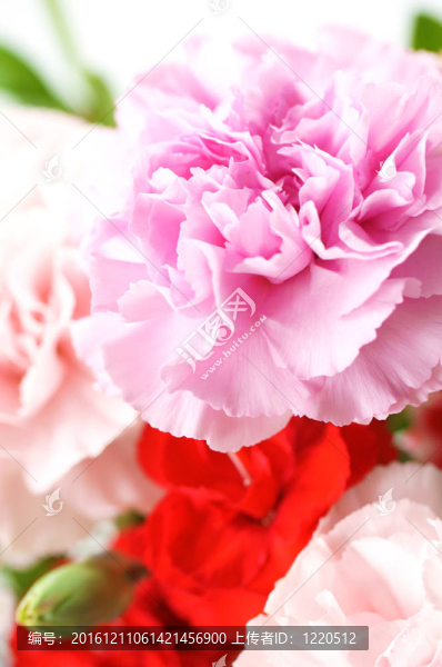 設(shè)置花