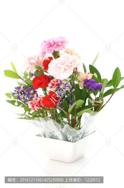 設(shè)置花