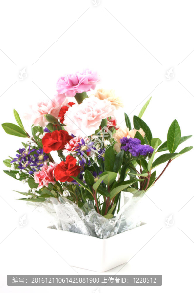 設(shè)置花