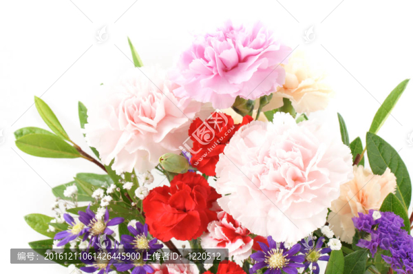 設(shè)置花
