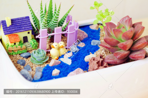 多肉景觀,多肉拼盤,多肉盆景