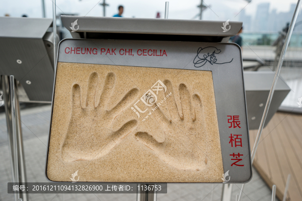 星光大道手模,張柏芝
