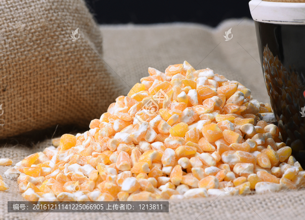 玉米苞米茬子
