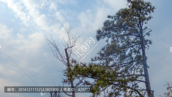 天空