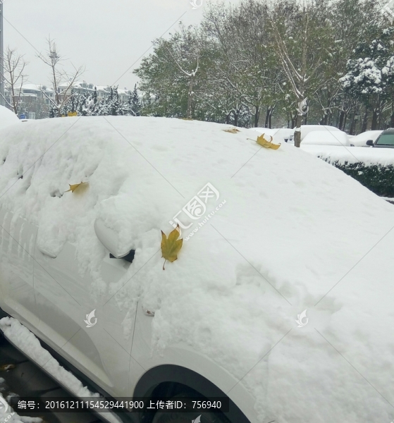雪