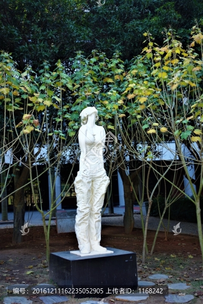 廈門大學(xué)仰望天空女孩雕塑