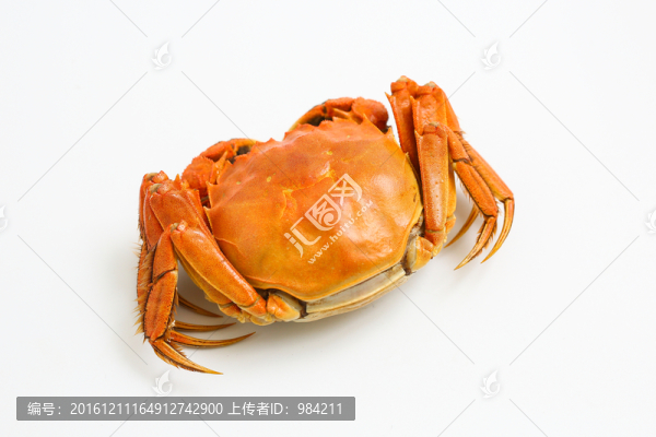 大閘蟹